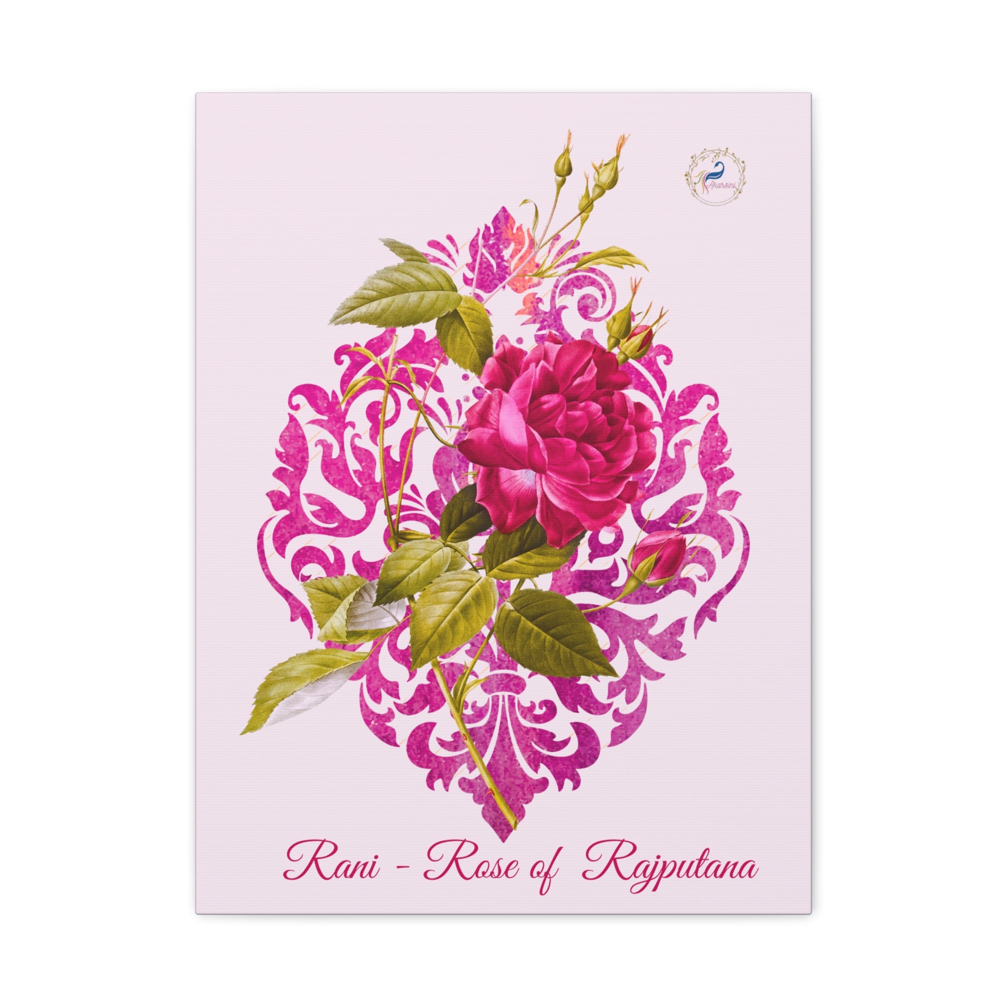 Rani — rose of Rajputana