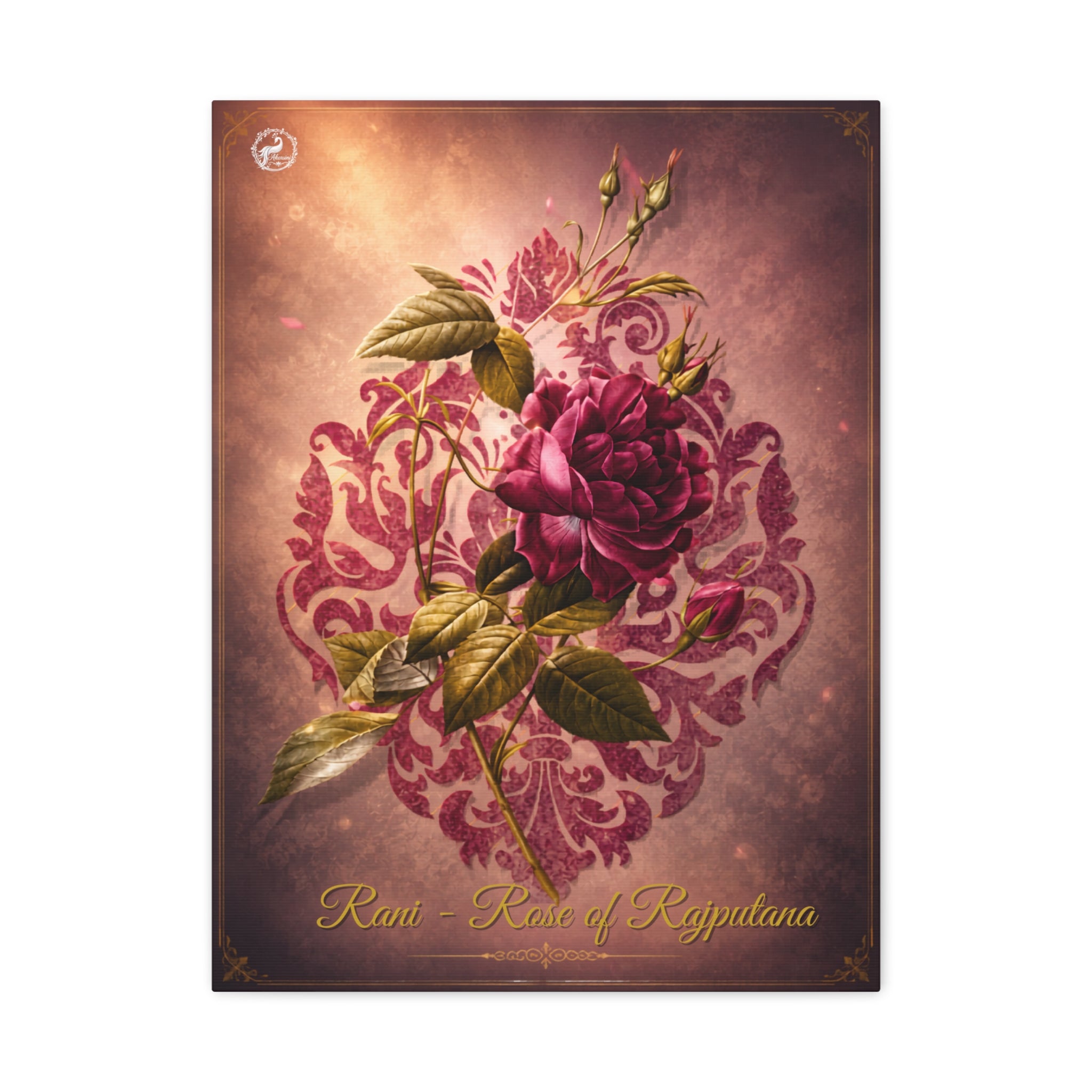 Rani — rose of Rajputana