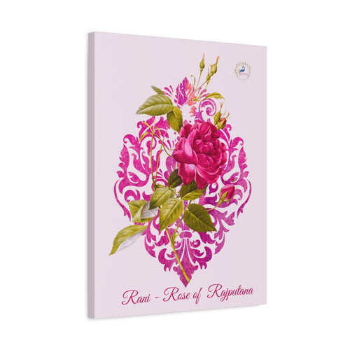 Rani — rose of Rajputana