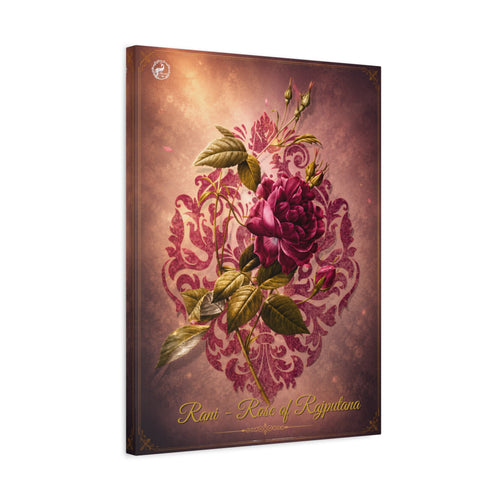 Rani — rose of Rajputana